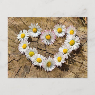 Daisy Heart Postkarte