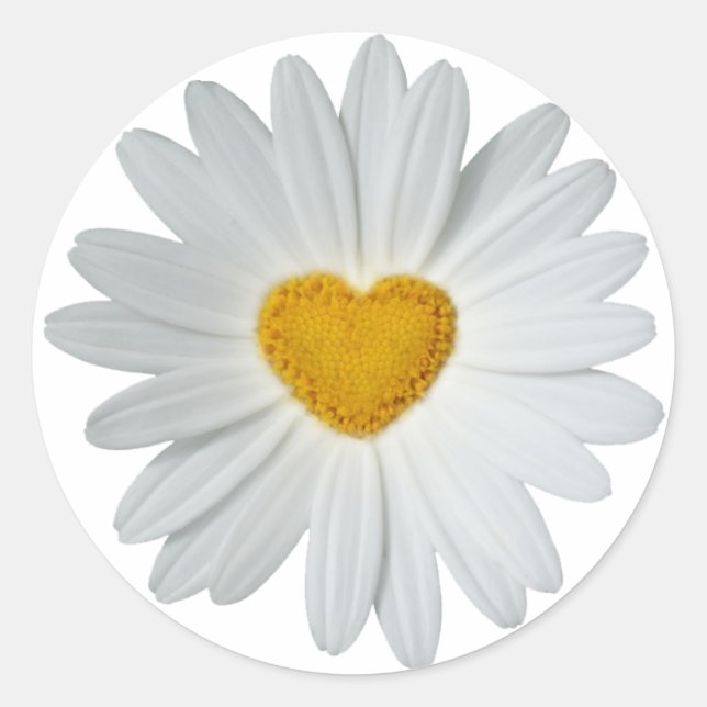 Daisy Heart Runder Aufkleber (Vorderseite)