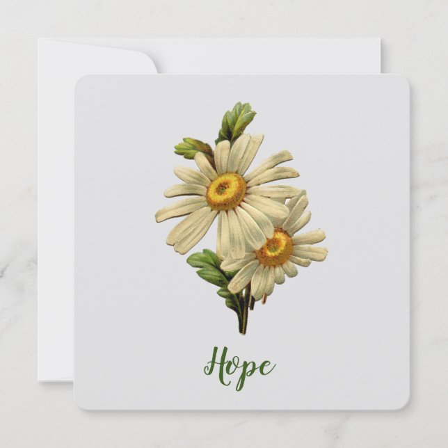 Daisy Hope Inspirational (Vorderseite)