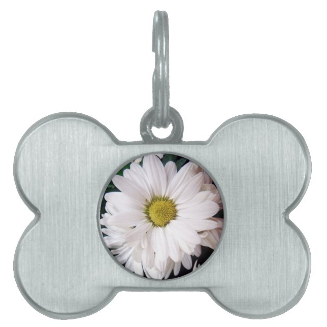 *Daisy* Hundehalsband-Umbau Tiermarke (Vorderseite)