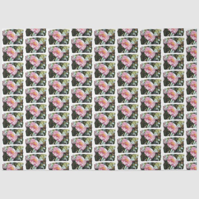 Daisy in Pink Seidenpapier (Vorderseite)