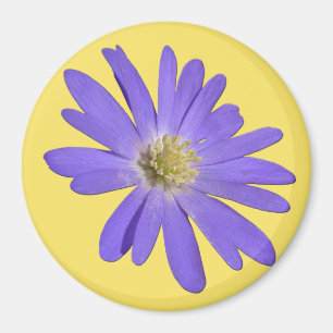 Daisy Kühlschrankmagnet Blue Blume Daisy Geschenke Magnet