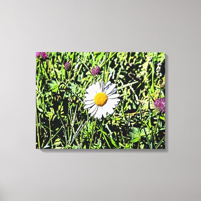 Daisy Leinwanddruck (Vorderseite)