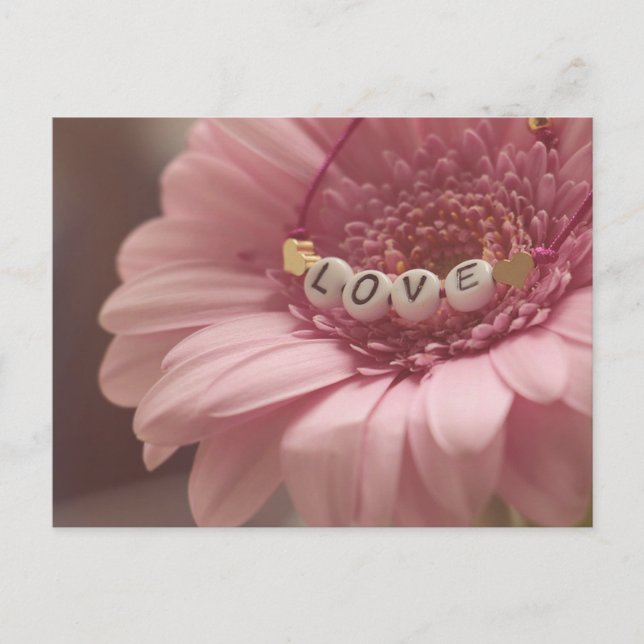 Daisy Liebe Postkarte (Vorderseite)