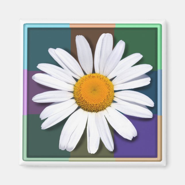 Daisy-Magnet Magnet (Vorne)