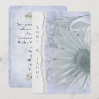 Daisy Makro in lila Farbe mit abgerissenem Papier