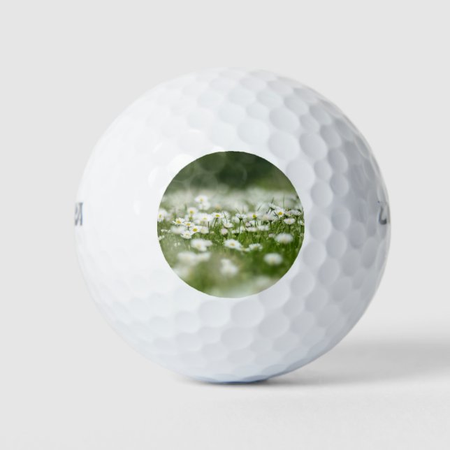 Daisy Meadow Golfball (Vorderseite)