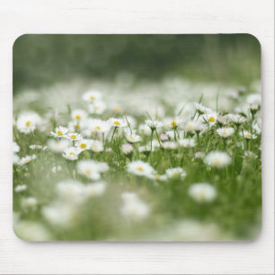 Daisy Meadow Mousepad