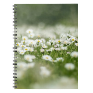 Daisy Meadow Notizblock