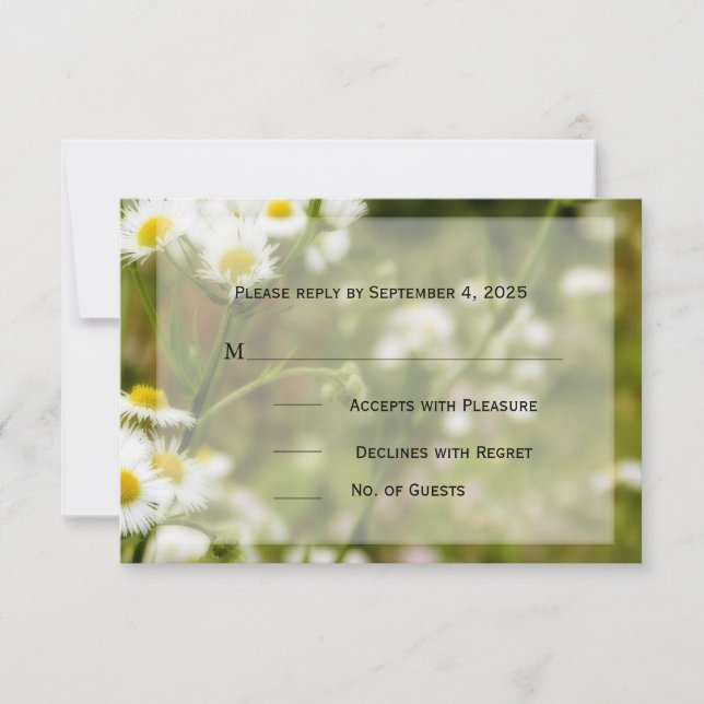 Daisy Meadow UAWG RSVP Karte (Vorderseite)