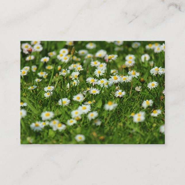 Daisy Meadow Visitenkarte (Vorderseite)