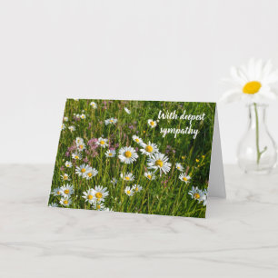 Daisy Meadows - Mit tiefstem Mitgefühl Karte