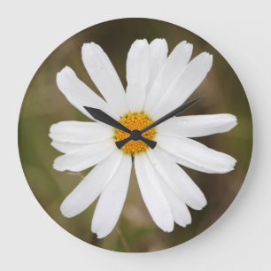 Daisy mit einer Regenfallenblende-Uhr Große Wanduhr