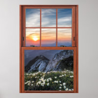 Daisy Mountain Window Illusion