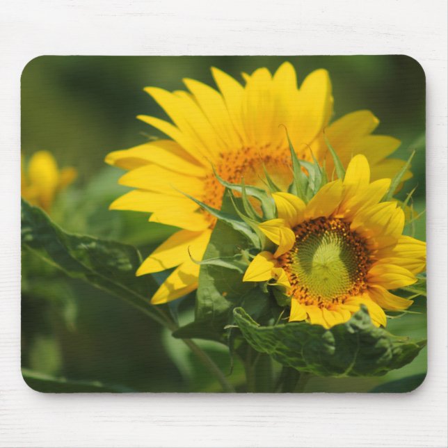 Daisy Mousepad - HAMbyWhiteGlove (Vorne)