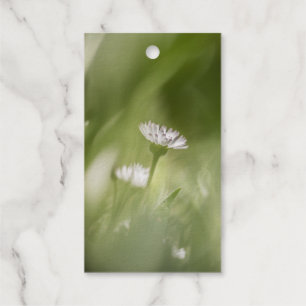 Daisy Nature Foto Geschenkanhänger