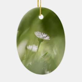 Daisy Nature Foto Keramik Ornament