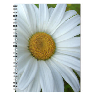 Daisy Notebook Classic Daisy Journals Blume Gesche Notizblock