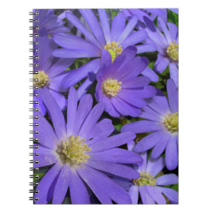 Daisy Notebook Lila Daisy Journals Geschenke Notizblock