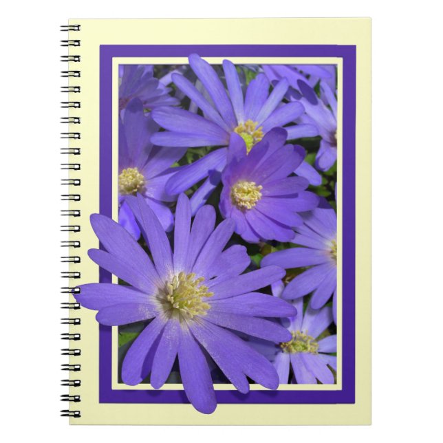 Daisy Notebook Personalisiert Daisy Blume Journal Notizblock (Vorderseite)