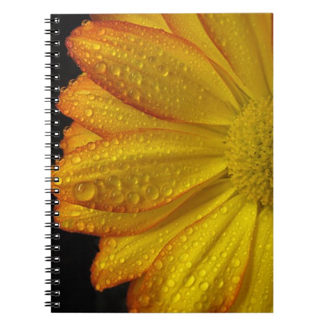 Daisy Notizblock (Vorderseite)