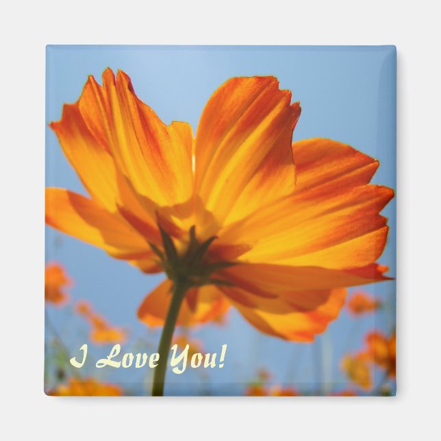 Daisy Orange Daisy Blume Magnet I Liebe You! (Vorne)