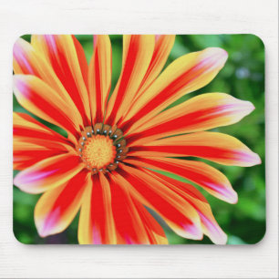 Daisy Petals Mousepad