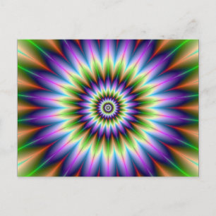 Daisy Petals Post Card Postkarte