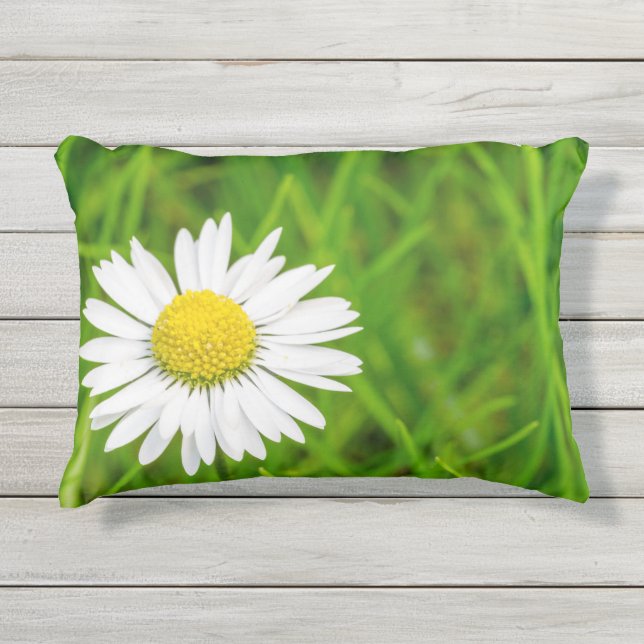 Daisy Pillow Kissen Für Draußen (Vorderseite)
