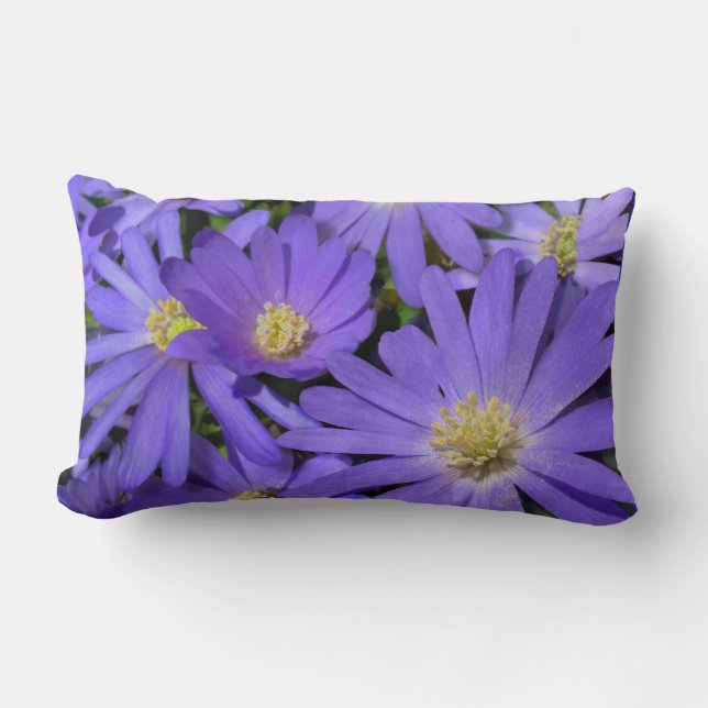 Daisy Pillows Blue Daisies Pillows Blume Dekoratio Lendenkissen (Vorderseite)