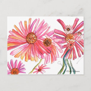 Daisy Pink Blume Postcard Postkarte