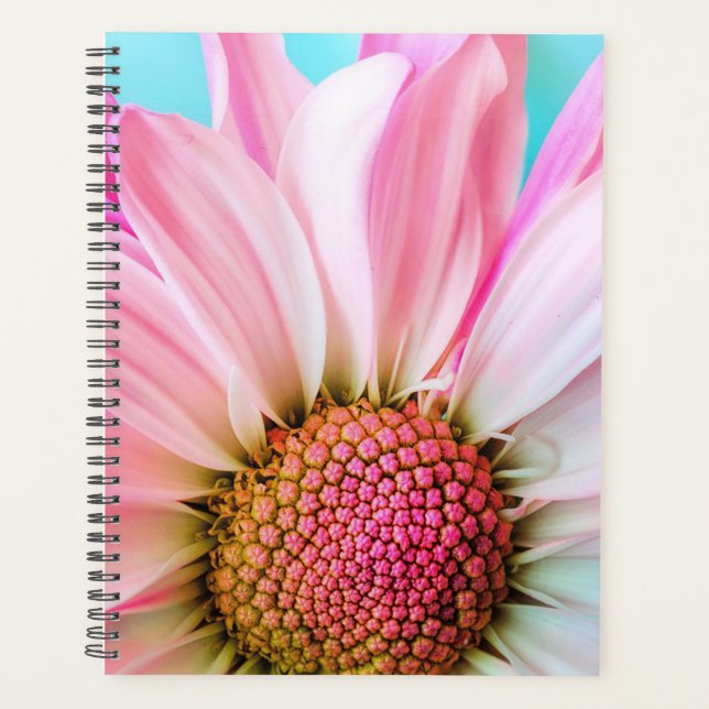 Daisy Planer (Vorderseite)