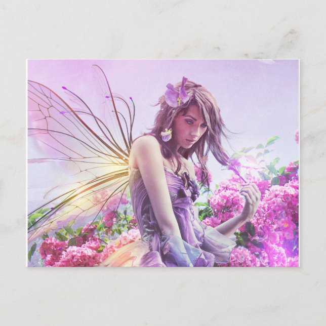 Daisy Post Card Postkarte (Vorderseite)