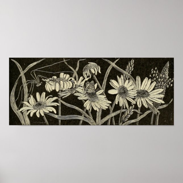 Daisy Poster (Vorne)