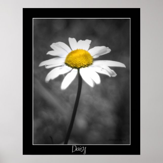 Daisy Poster (Vorne)