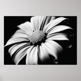 Daisy Poster