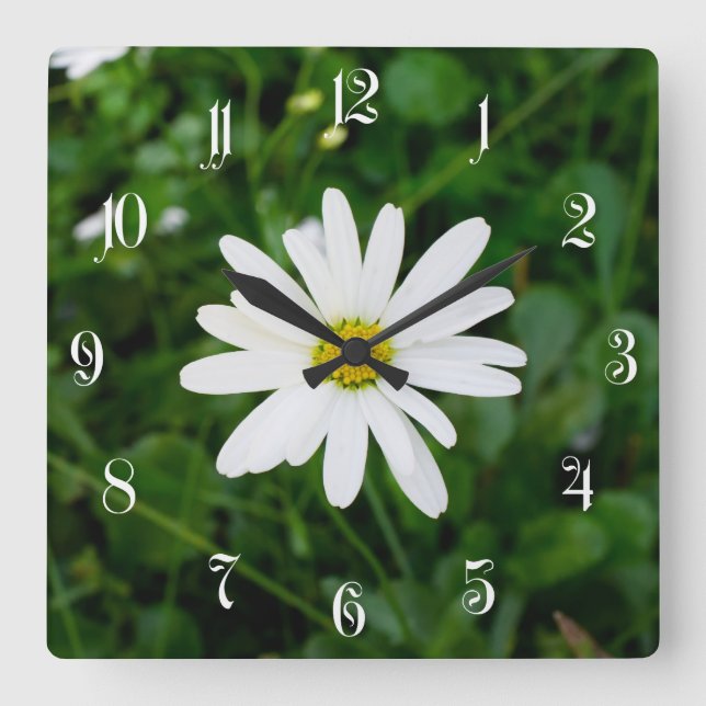 Daisy Quadratische Wanduhr (Vorderseite)