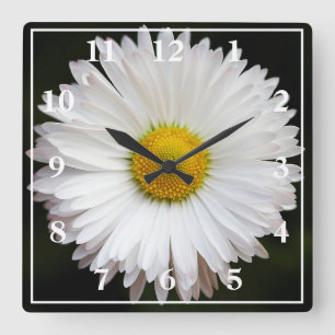 Daisy Quadratische Wanduhr