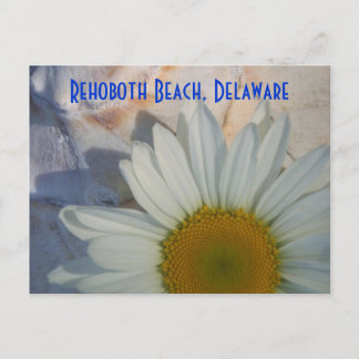Daisy RehoBeide Beach Postcard Postkarte