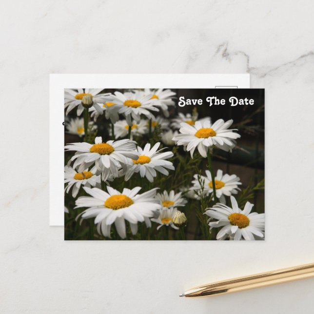 Daisy Save the Date Postcard Postkarte (Vorderseite/Rückseite Beispiel)