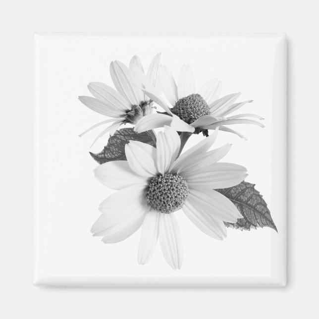 Daisy Schwarz-Weiß Blumenmontage Magnet (Vorne)