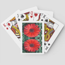 Daisy spielende Karten Spielkarten