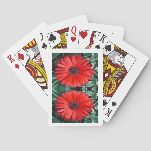 Daisy spielende Karten Spielkarten (Rückseite)