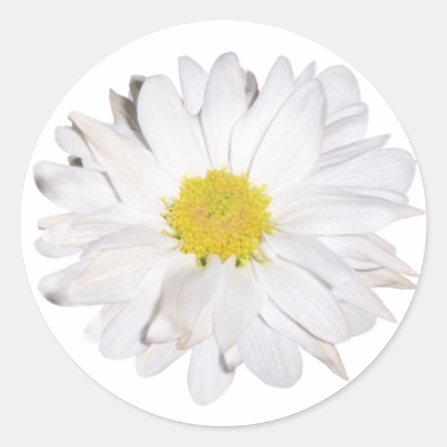 Daisy Sticker (Vorderseite)