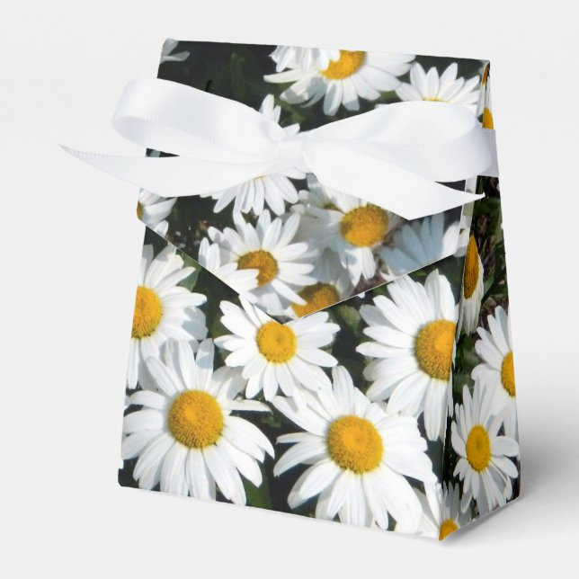 Daisy Sunshine Favor Box Geschenkschachtel (Vorderseite)