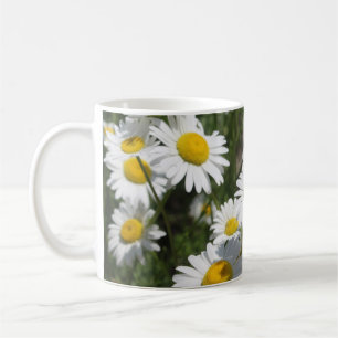 Daisy Tasse