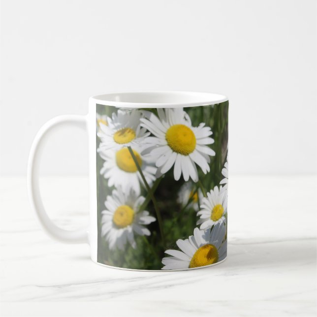 Daisy Tasse (Links)