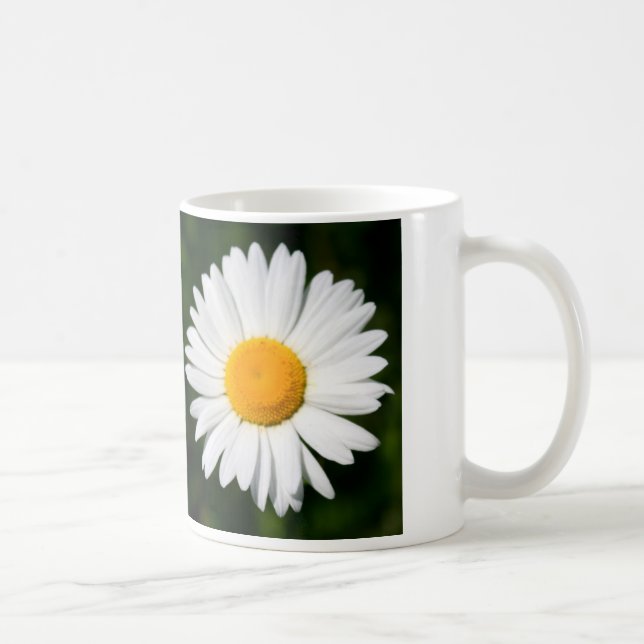 daisy Tasse (Rechts)