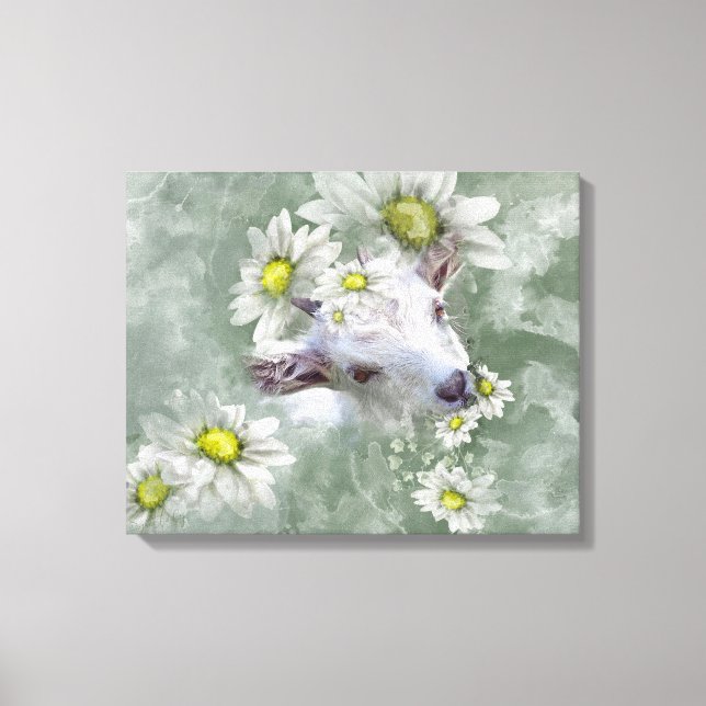 Daisy the Baby Goat Watercolor Portrait 2 Leinwanddruck (Vorderseite)