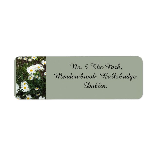 Daisy Theme Address Labels (Vorne)